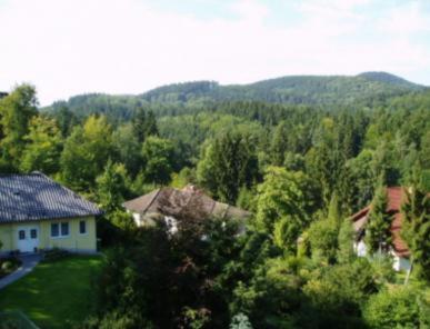 Ferienhotel Waldfrieden Bad Sachsa Exterior foto